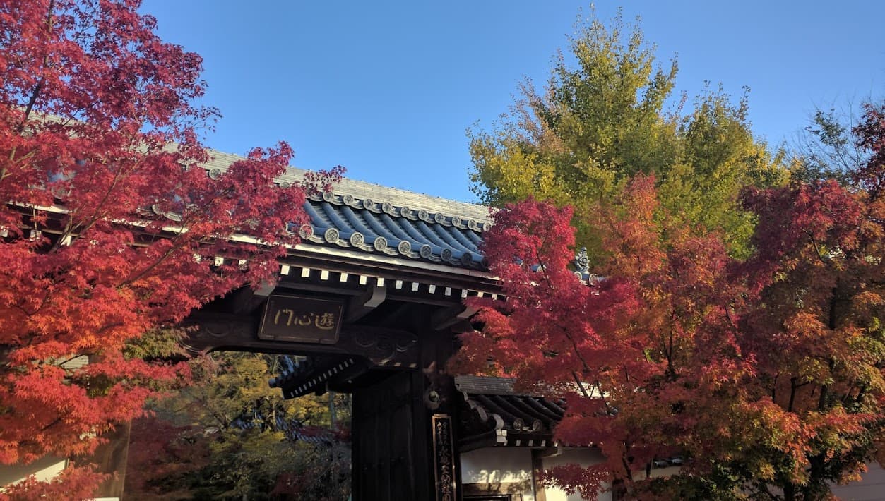 Japanese Temple in Autumn