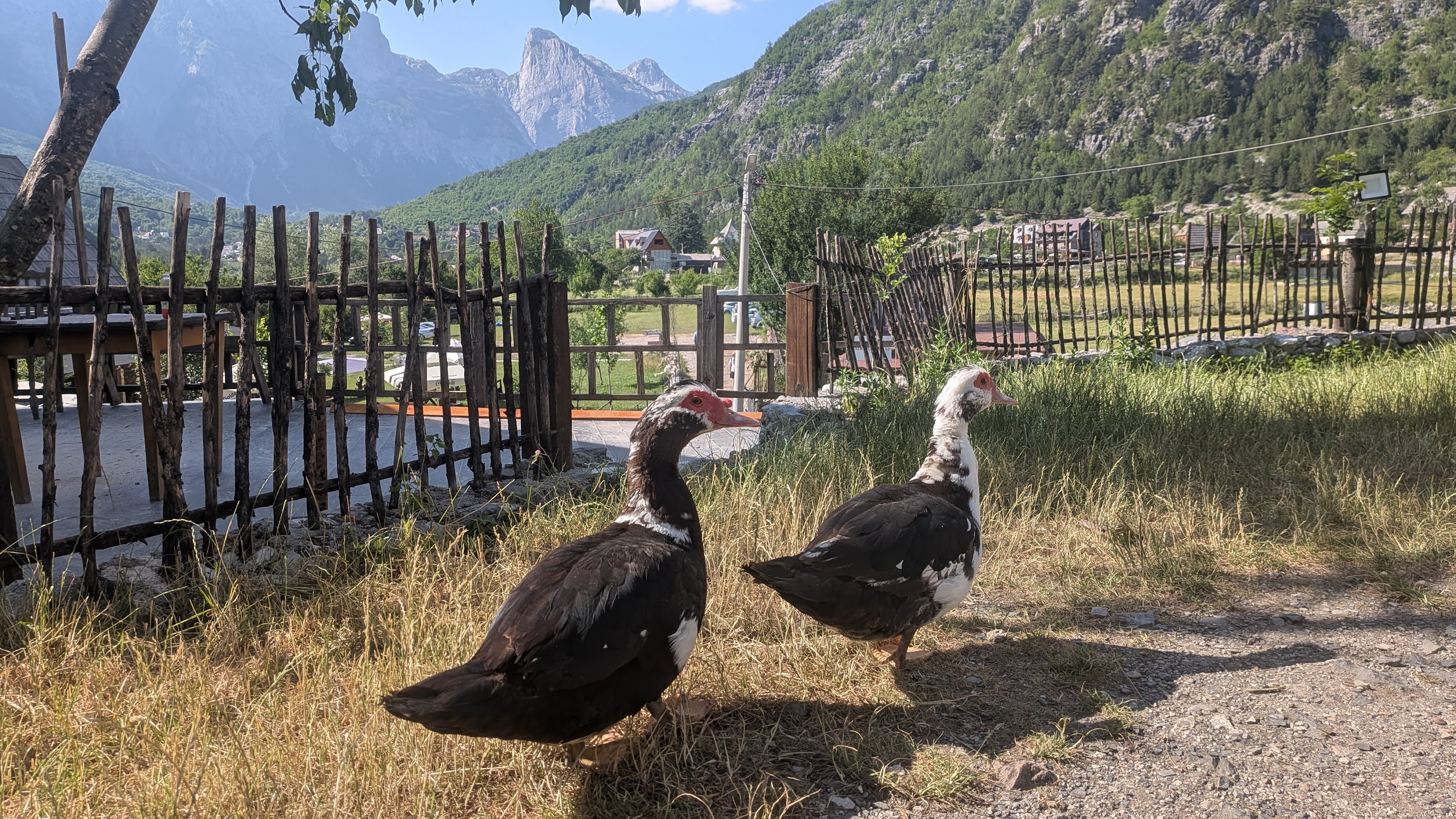 Albania Theth Village alt text